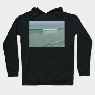 Gulf Water with Sting Ray with Wave 2 Hoodie